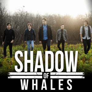 shadow of whales2