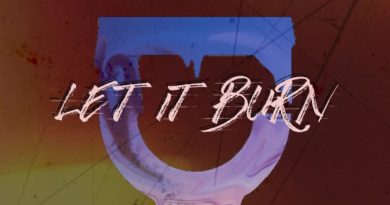 let it burn artwork