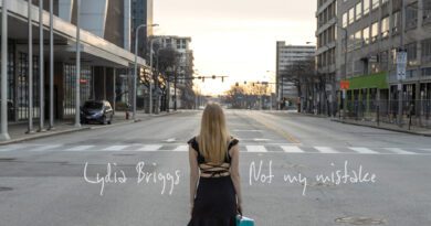 Lydia Briggs Not My Mistake cover