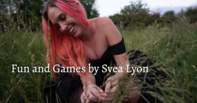 Svea Lyon Fun and Games cover