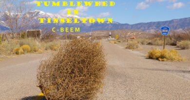 C-Beem Tumbleweed in Tinseltown cover