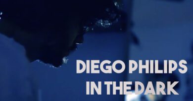 Diego Philips In The Dark cover