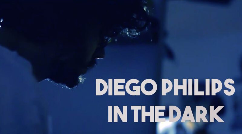 Diego Philips In The Dark cover