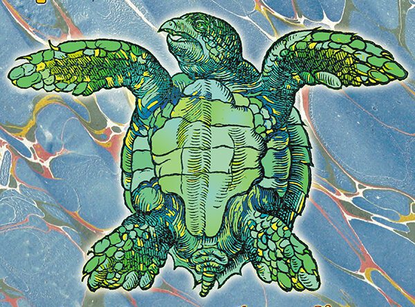 Spurious Transients Mock Turtle cover