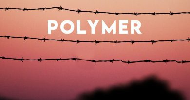 Polymer Zealots Box cover