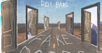 Roi Bars Fake Doors cover