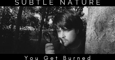 Subtle Nature You Get Burned cover