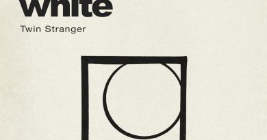 Twin Stranger White cover