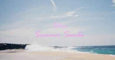 Telica Summer Samba cover