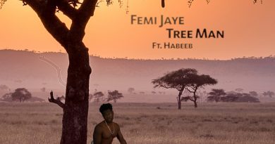 Femi Jaye Tree Man cover