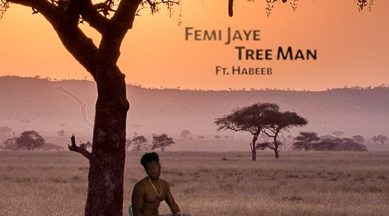 Femi Jaye Tree Man cover