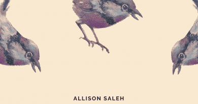 Allison Saleh Still I Rise cover