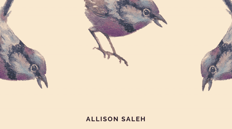 Allison Saleh Still I Rise cover