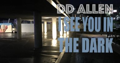 DD Allen I See You in the Dark cover