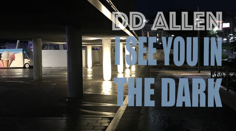 DD Allen I See You in the Dark cover