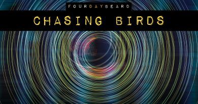 Four Day Beard Chasing Birds cover