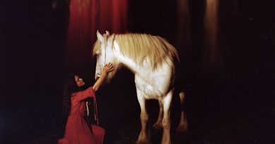 Phoebe Coco My White Horse and I cover