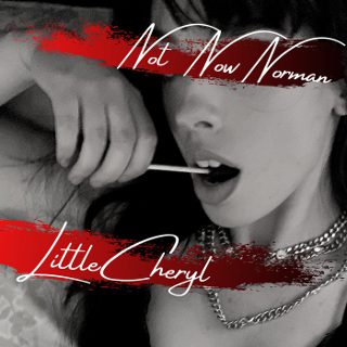 Not Now Norman Little Cheryl cover art