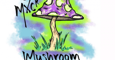 Cxl Mxck Mushroom Treatment