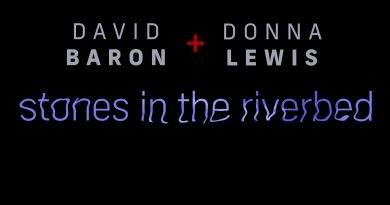 David Baron Donna Lewis Stones in the River Bed