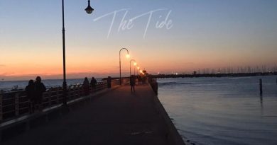 holly fitzgerald the tide