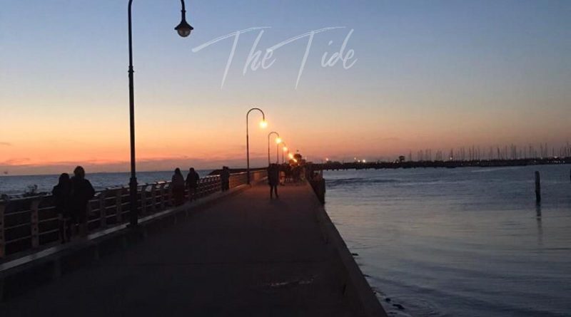 holly fitzgerald the tide