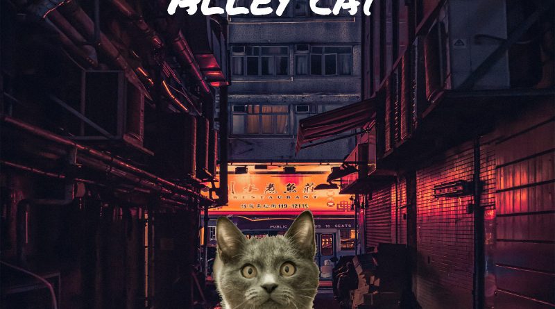 Salt House Lavish Alley Cat single cover