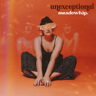 meadowhip Unexceptional single cover