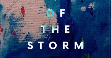 Peter Barnardo I of the Storm single cover