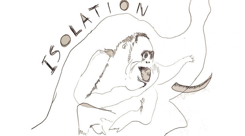 Xylaroo Isolation single cover