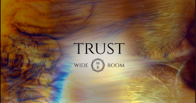 Wide Room Trust single cover