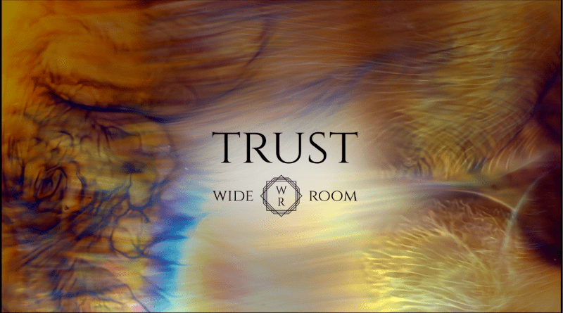 Wide Room Trust single cover