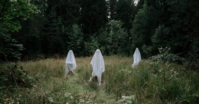 Gentle Ghosts artwork