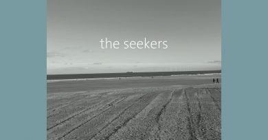 Salsola The Seekers single cover