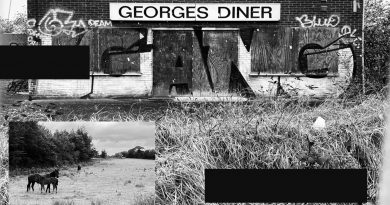 Craig Swan George's Diner EP cover