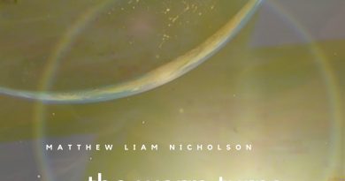 Matthew Liam Nicholson The Worm Turns single cover