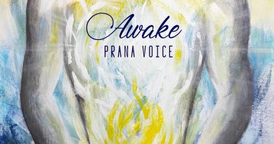 Prana Voice Awake single cover