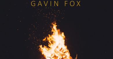 Gavin Fox Lay Down Low artwork