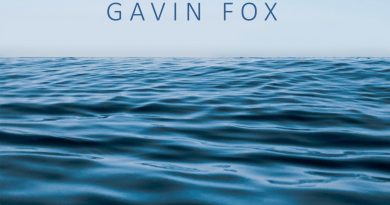 Gavin Fox Tell Me So artwork