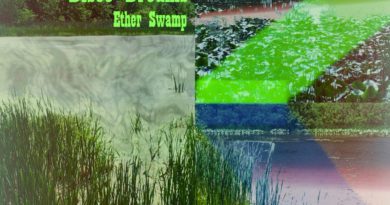 Disco Dreams Ether Swamp single cover