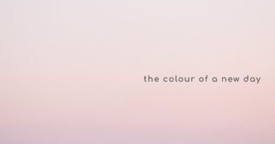 ANIMATE - The Colour Of A New Day