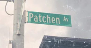 alec berlin - patchen avenue