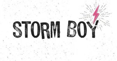 storm boy - it's the mess that makes us