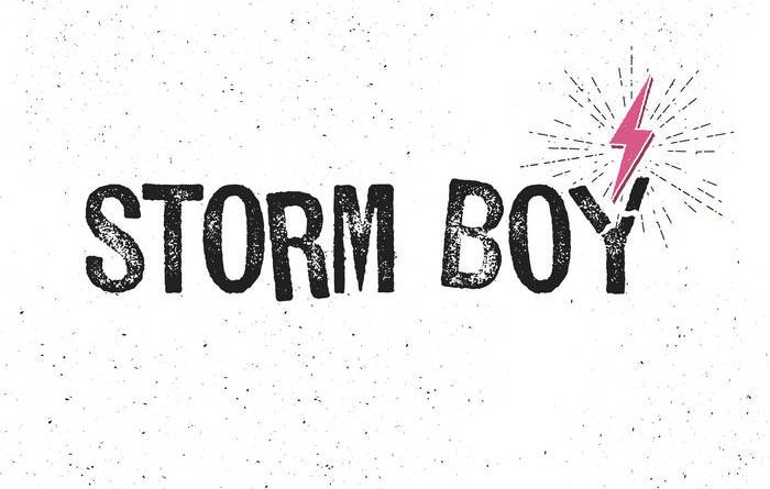 storm boy - it's the mess that makes us