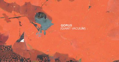 gorus - giant vacuum