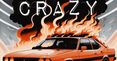 metrophobia - crazy