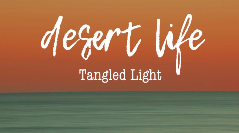 desert life - tangled light