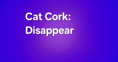 cat cork - disappear