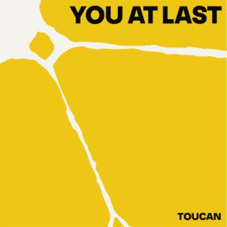 toucan - you at last