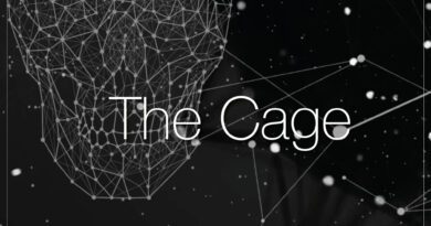 shyfrin alliance - the cage